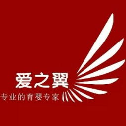 大連產后康復培訓指南 課程、選擇與機構推薦