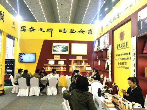 古都長安與天府之國的情緣交響 愛之緣家政的雙城故事